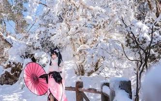 Neko薇薇在泳装里晃悠，下载这场夏日派对的写真吧！