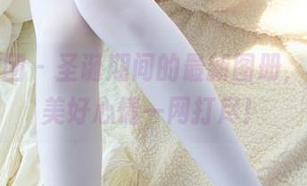 森萝财团 – 圣诞期间的最新图册，小七的美好心情一网打尽！